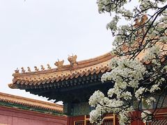 -故宫博物院(故宫)