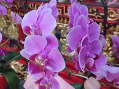 -无锡惠山寺