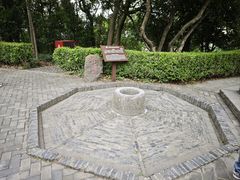 -上海佘山国家森林公园天马山园