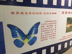 -上海昆虫博物馆