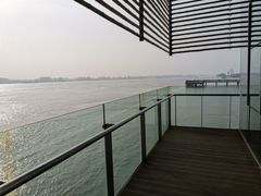 -滨江生态公园