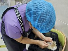 -北京观赏动物医院·24小时大型综合·猫专科·异宠专科