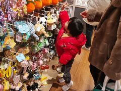 -合肥蜀山万象汇