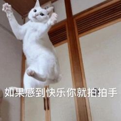 -龙文宝贝上门婴儿理发满月剃胎毛(浦东店)