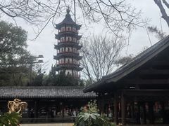 -绳金塔