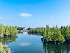 -白鹭湾湿地公园