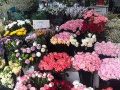 入口那家花店-曲阳花鸟市场(曲阳路店)