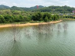 -春润大地海南椰子鸡(沙井京基百纳广场店)