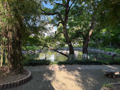 -瀛洲公园