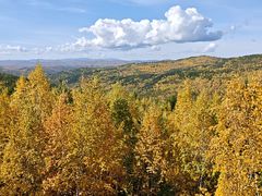 -莫尔道嘎国家森林公园