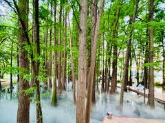 -东湖落雁景区