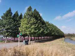 -嘉北郊野公园
