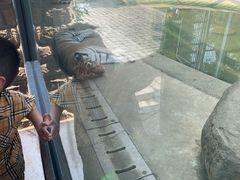 -上方山森林动物世界