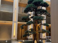 -外滩·云南人家(昆明旗舰店)