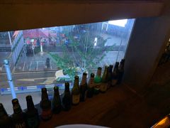 -故遥酒馆.赛事直播