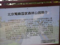 -北京鹫峰国家森林公园