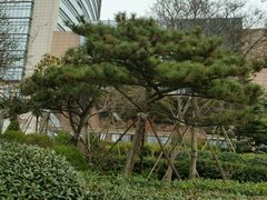 -山港凯悦酒店·BEBA海滩烧烤餐厅酒吧