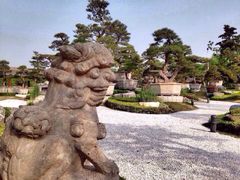 iphone_upload_pic-中国唐苑