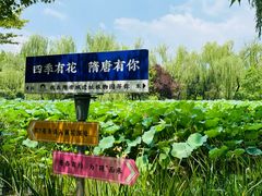 -洛阳市隋唐城遗址植物园
