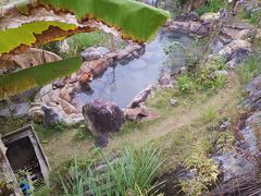 -天芳悦潭度假村温泉