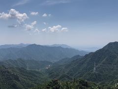 -大岭沟猕猴桃谷风景区
