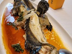 家常烧龙趸鱼-开海·红岛海鲜虾水饺(石老人店)