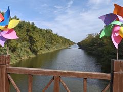 -黄海国家森林公园