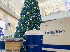 -CHARLIETOWN红茶公司(南京万象天地店)