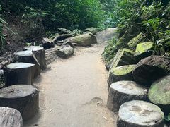 -西双版纳原始森林公园