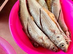 -蚝乡农庄(铁涌赤岸店)