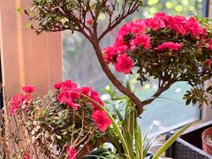 -一澜江宴·江景地标楚菜(江滩公园店)