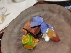 -一棵树·意大利西餐厅One Tree(新城店)