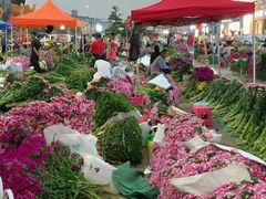 -昆明国际花卉拍卖交易中心