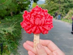 -国家植物园