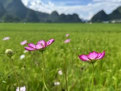 -万峰林风景区