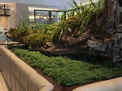 -桃源咖啡厅(武夷山大红袍山庄店)