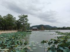 -顺峰山公园