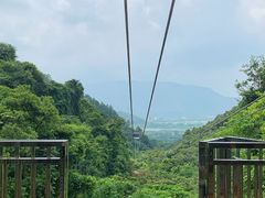 -南丹山森林王国