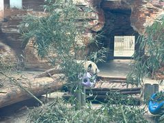 -石家庄市动物园