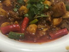 土豆烧牛腩-勇猛子川菜馆(新军路店)