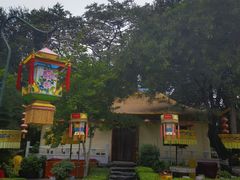 -白家大院·王府宫廷菜(苏州街店)