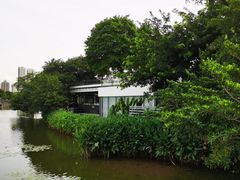-东山湖公园