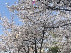 -堤角公园