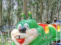 -长白岛森林公园