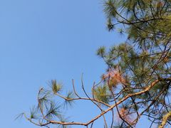 -马口生态公园