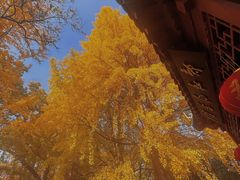 -郑和公园