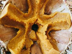 -海胆小馆(东北水饺·春柳店)