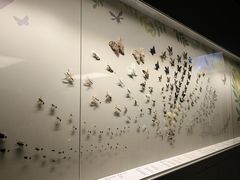 -香港科学馆