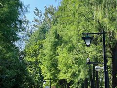 -狼山风景名胜区