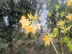 -南京东郊国宾馆